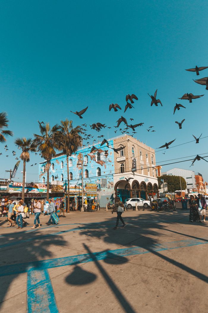 Dynamic street scene at Venice Beach, Los Angeles with birds flying overhead and bustling pedestrians below.