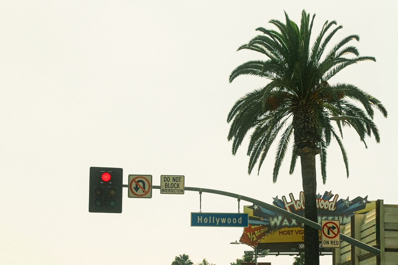 A classic Hollywood street view featuring a palm tree and traffic light under a clear sky.
